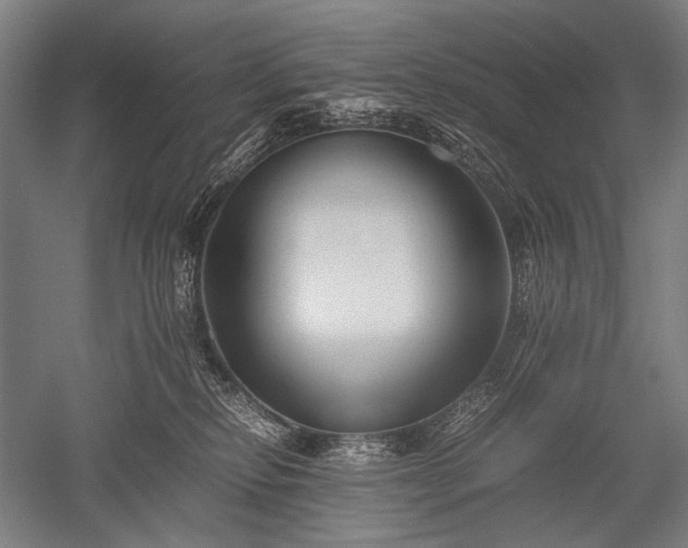 X0000052550278200507081617