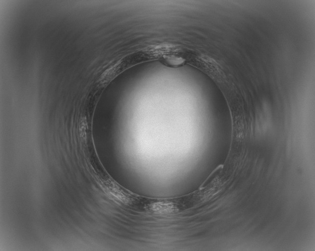 X0000052550279200507081617