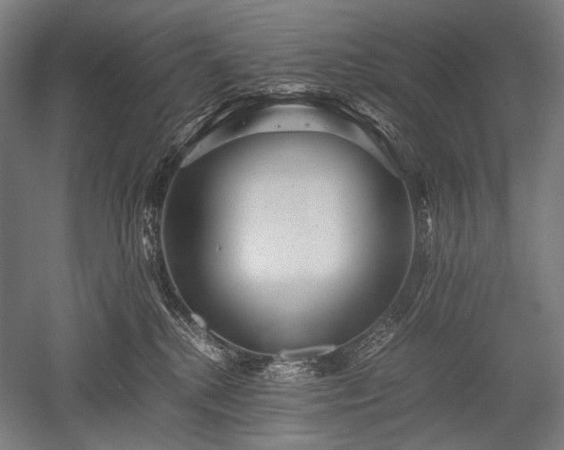 X0000052550280200507081617