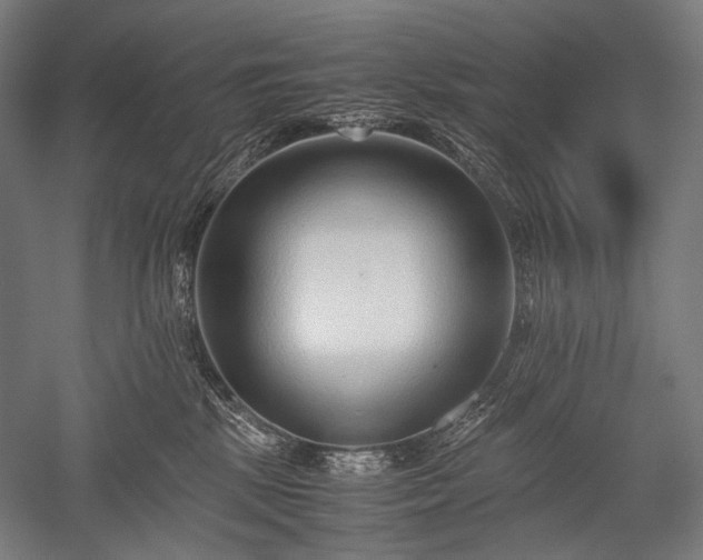 X0000052550281200507081617