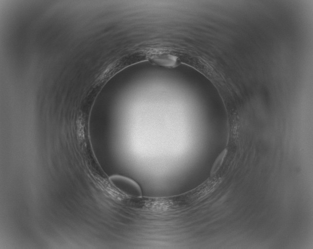 X0000052550282200507081617