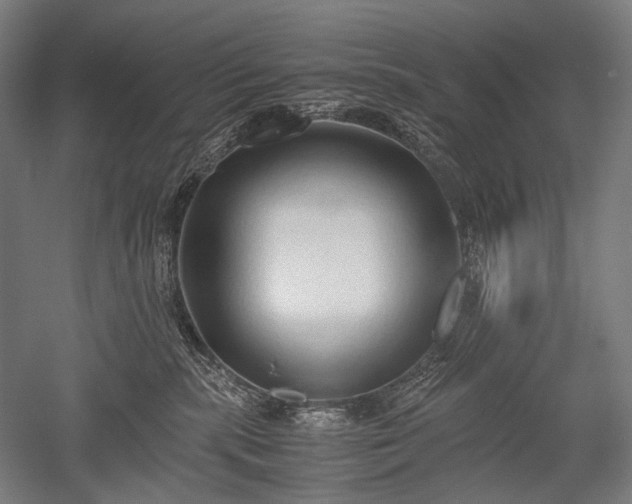 X0000052550283200507081617