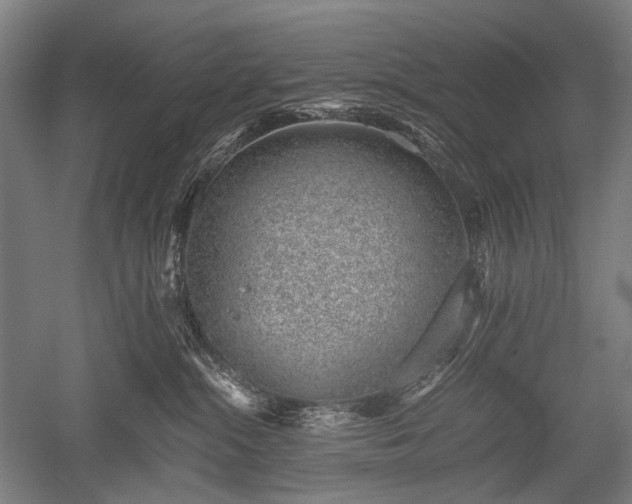 X0000052550284200507081617