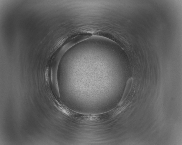 X0000052550288200507081617