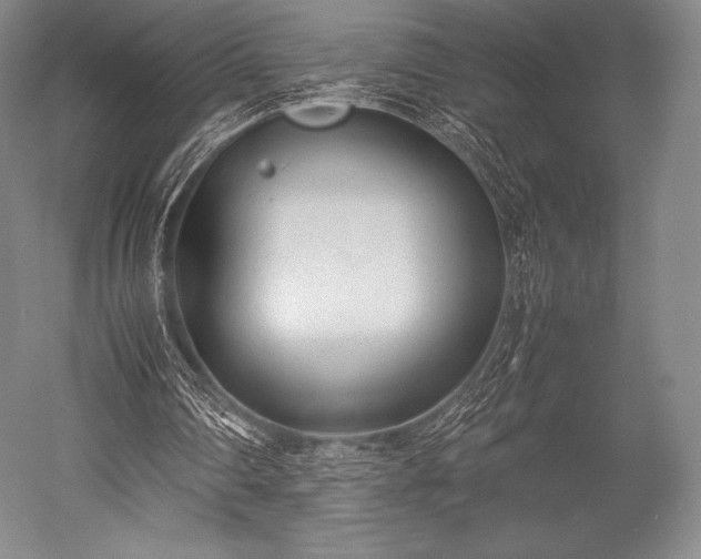 X0000052550290200507081617