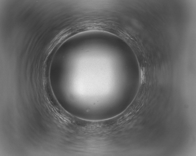 X0000052550291200507081617