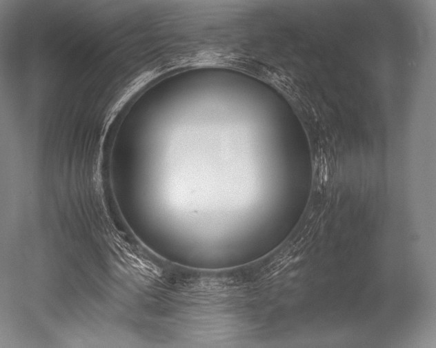 X0000052550292200507081617