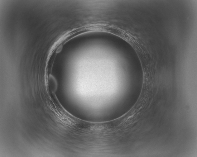 X0000052550294200507081616