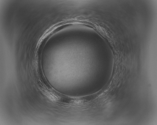 X0000052550295200507081616