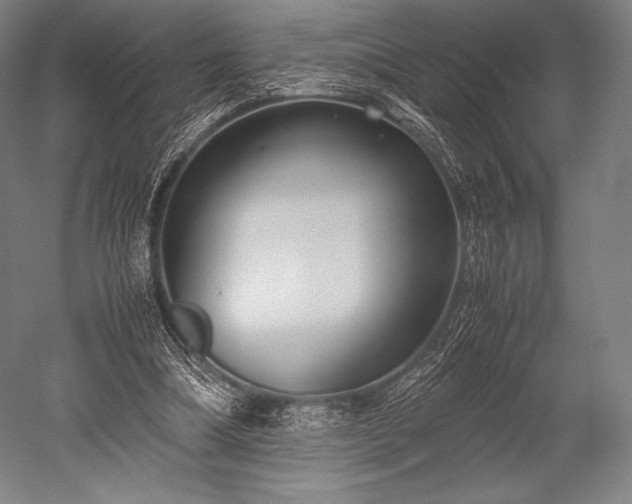 X0000052550298200507081616