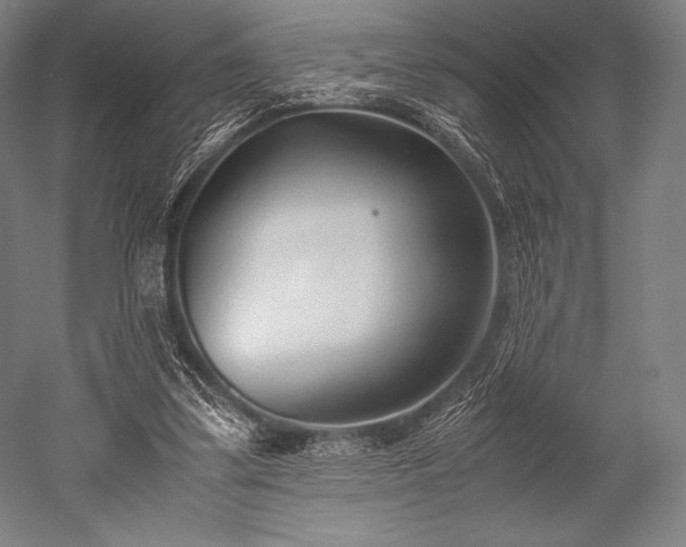 X0000052550299200507081616