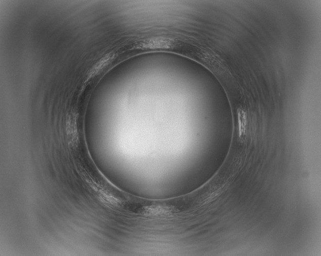 X0000052550300200507081616