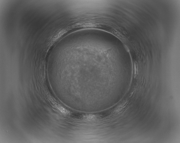 X0000052550301200507081616