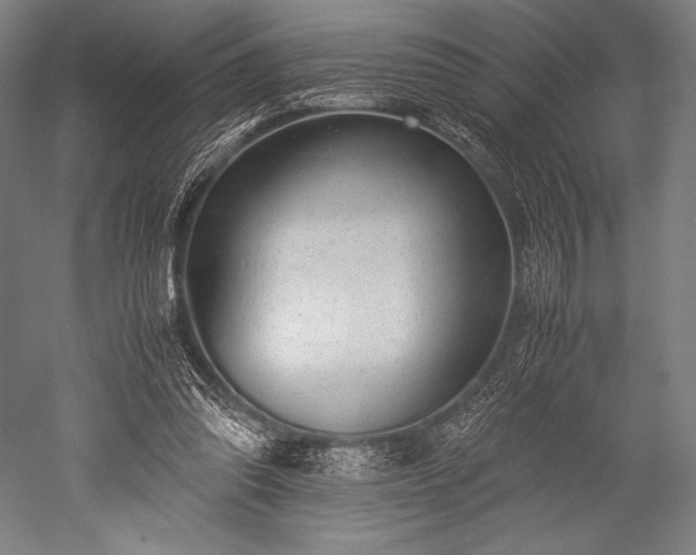 X0000052550302200507081616