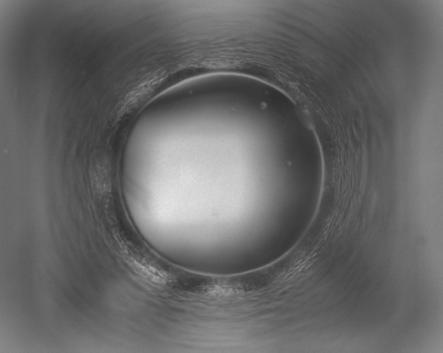 X0000052550303200507081616