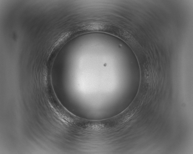 X0000052550304200507081616