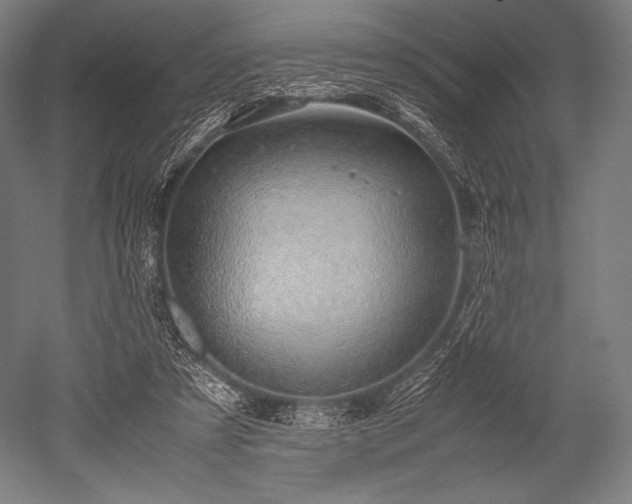 X0000052550305200507081616