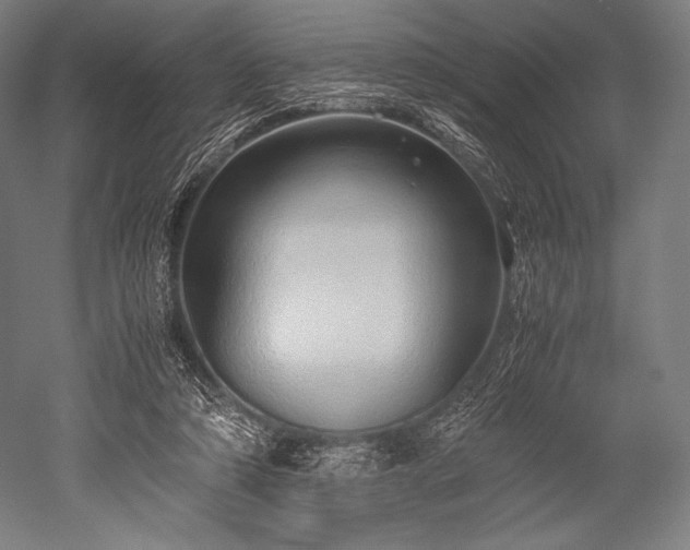 X0000052550306200507081616