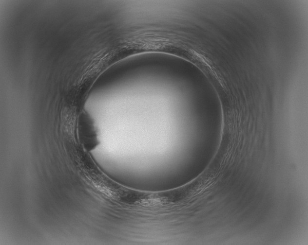 X0000052550307200507081616