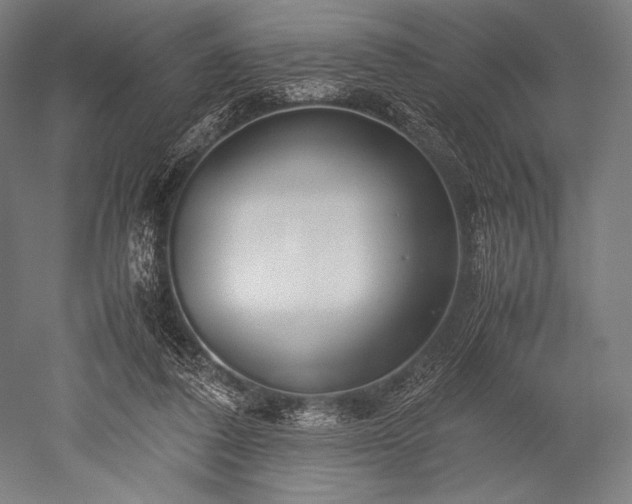 X0000052550308200507081616