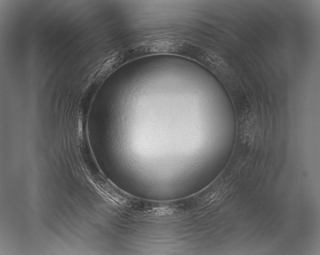 X0000052550310200507081616