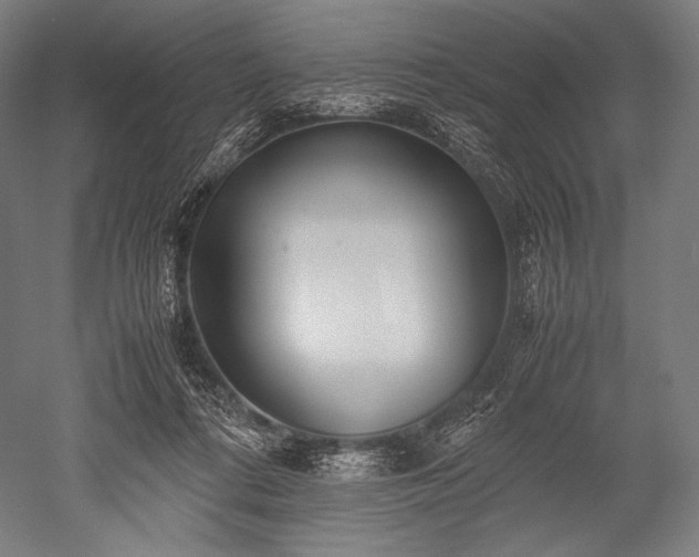 X0000052550312200507081616