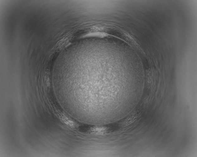 X0000052550313200507081616