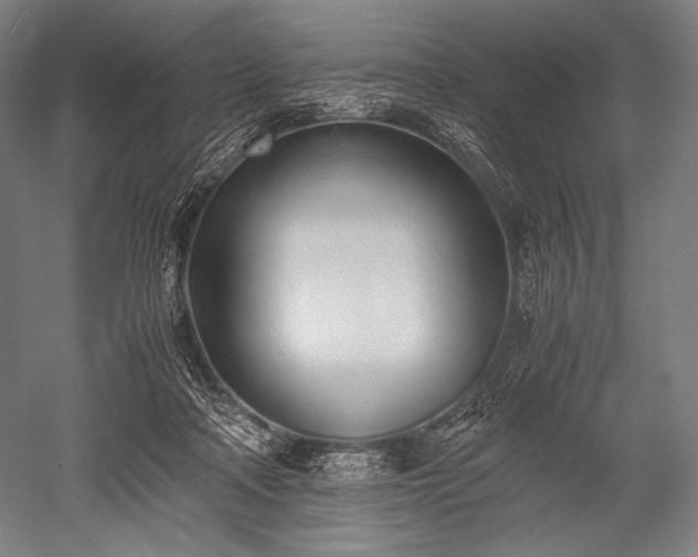 X0000052550314200507081616