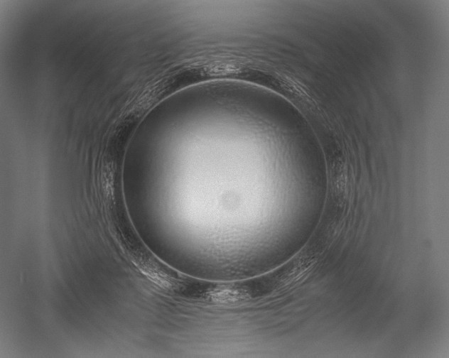 X0000052550315200507081616