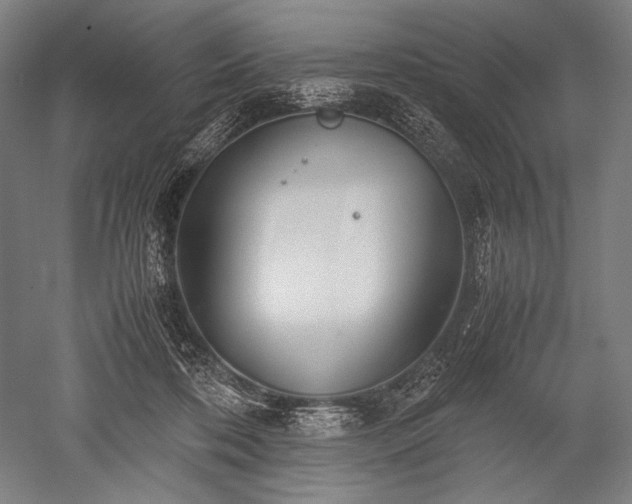 X0000052550316200507081616