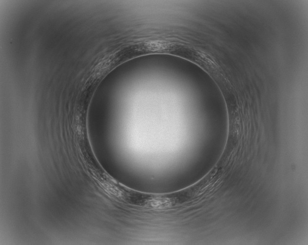 X0000052550317200507081616