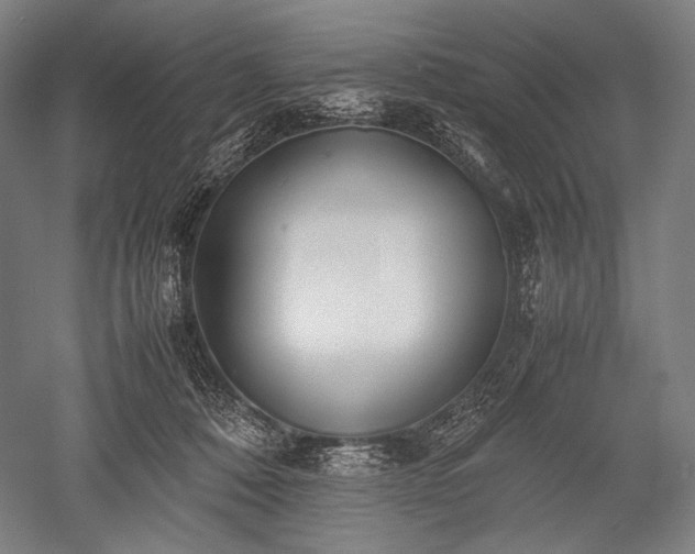 X0000052550320200507081616