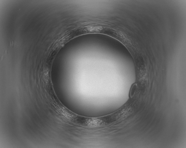 X0000052550321200507081616