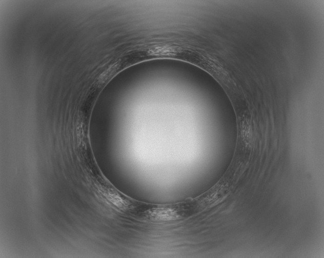 X0000052550322200507081616