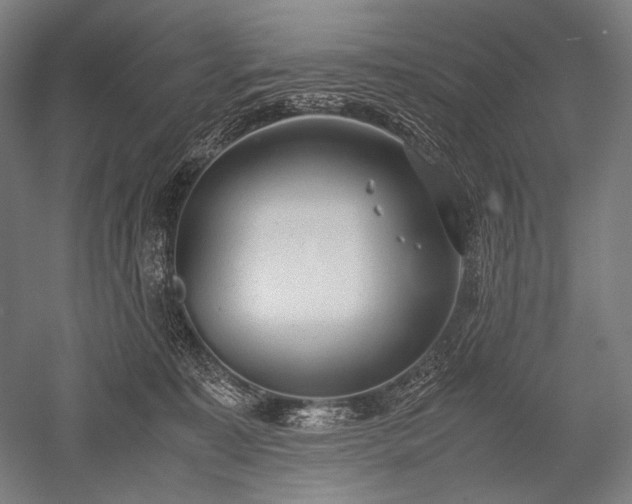 X0000052550323200507081616