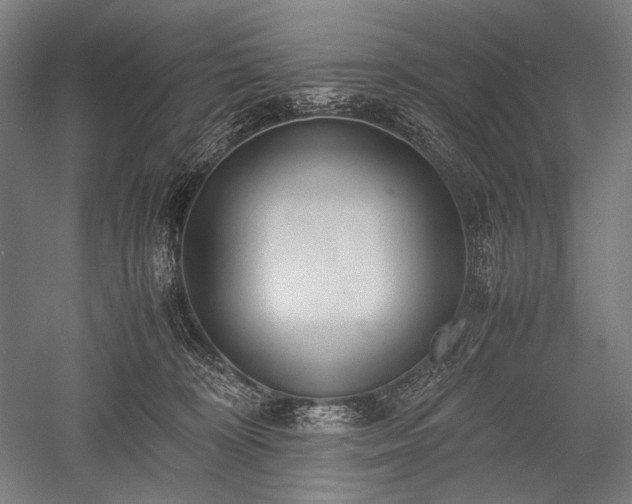 X0000052550324200507081616