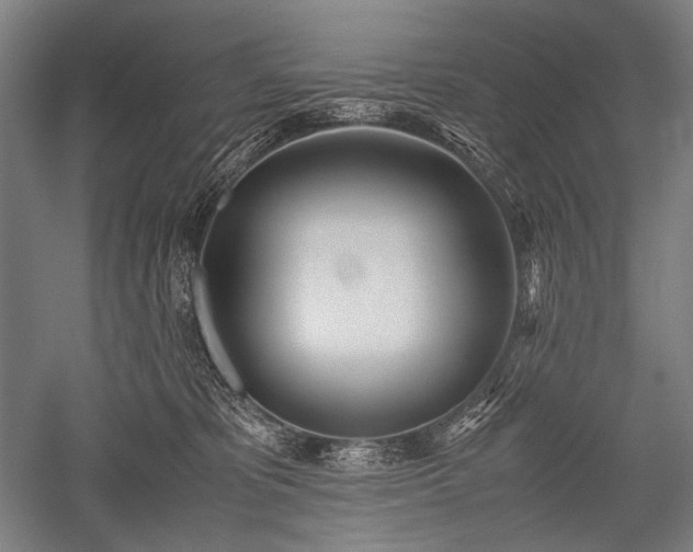 X0000052550325200507081616