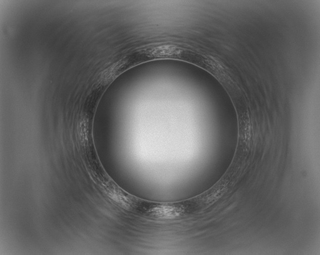 X0000052550326200507081616