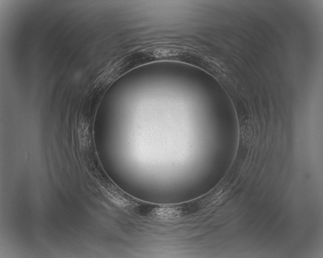 X0000052550327200507081616