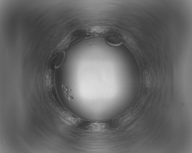 X0000052550328200507081616