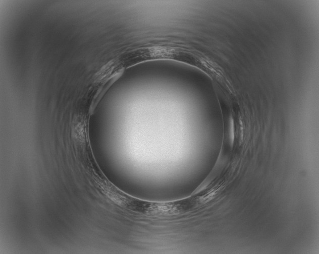 X0000052550329200507081616