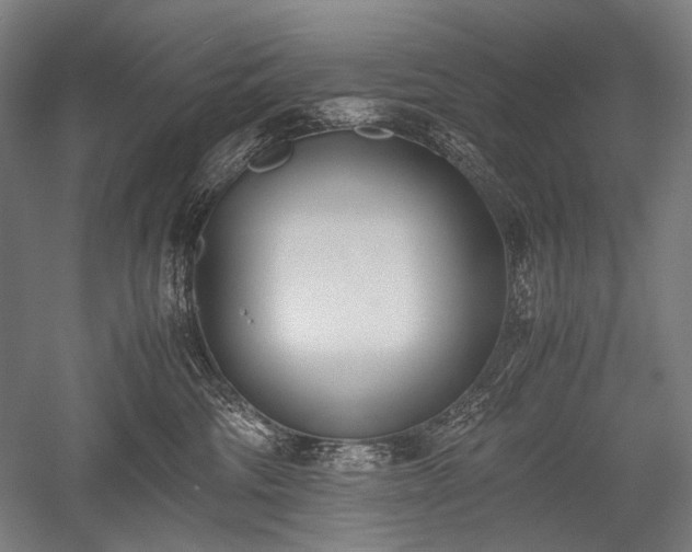 X0000052550330200507081616