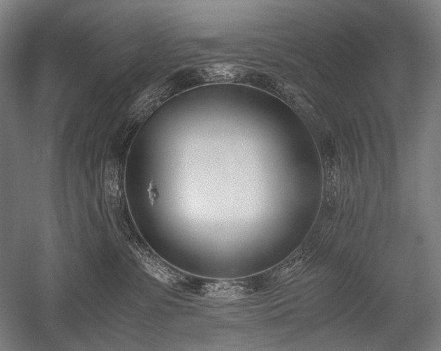 X0000052550331200507081616