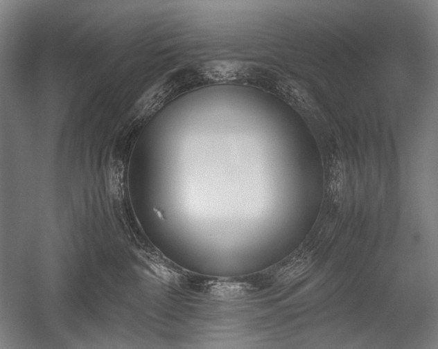 X0000052550332200507081616