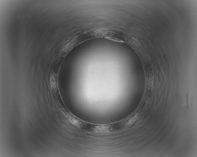 X0000052550335200507081616