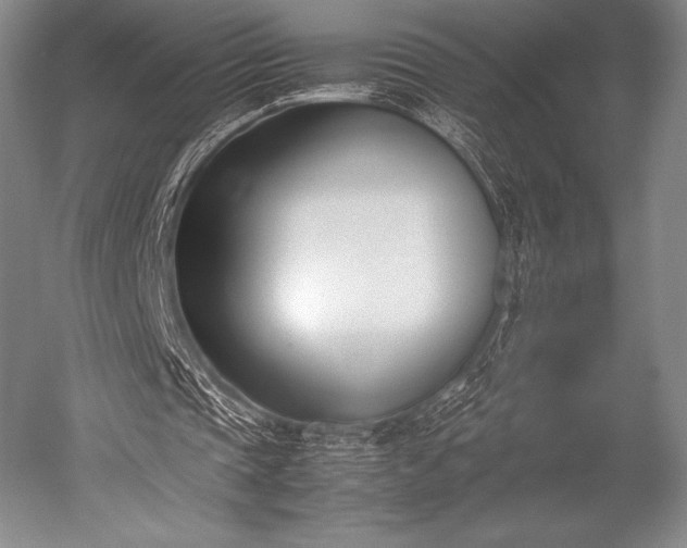 X0000052550337200507081615