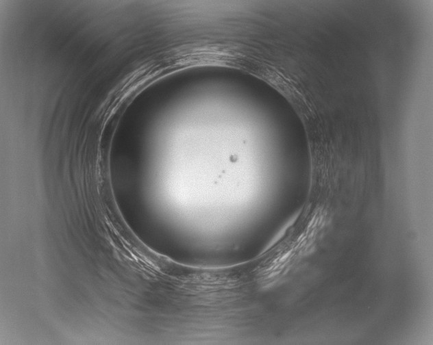 X0000052550338200507081615