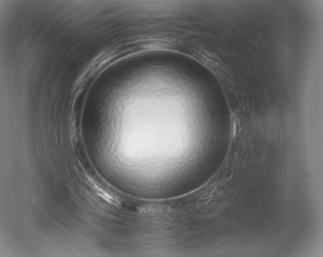 X0000052550339200507081615