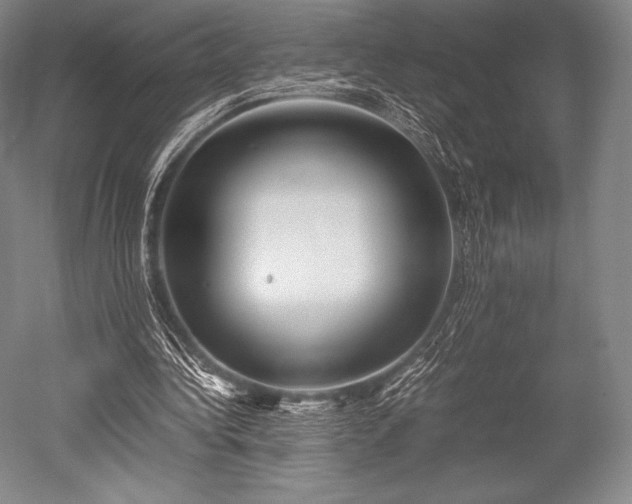 X0000052550340200507081615