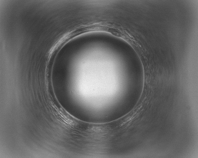 X0000052550341200507081615